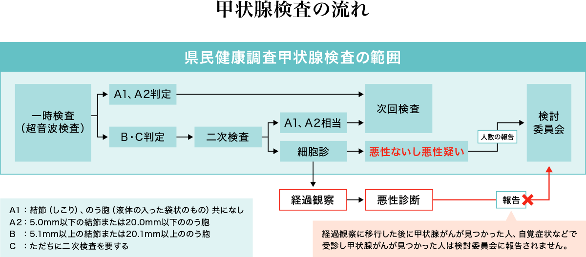 甲状腺検査の流れ